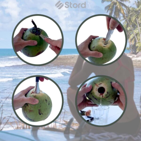 Coconut Hole Opener/Coconut Opener/Coconut Cutter/Dab Opener - Image 2