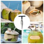 Coconut Hole Opener/Coconut Opener/Coconut Cutter/Dab Opener - Image 3