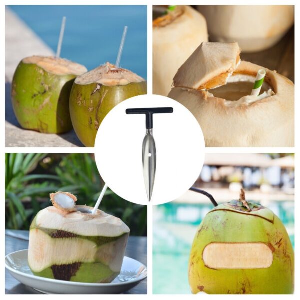 Coconut Hole Opener/Coconut Opener/Coconut Cutter/Dab Opener - Image 3