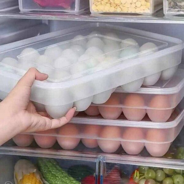 Egg Storage Box 24 Grids Plastic - Image 2