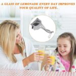 Fruit Press Manual Hand Press Juicer - Image 3