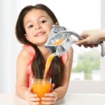 Fruit Press Manual Hand Press Juicer - Image 5